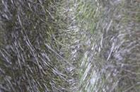 Bagshot fibreglass roof work