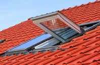 Bagshot roof window
